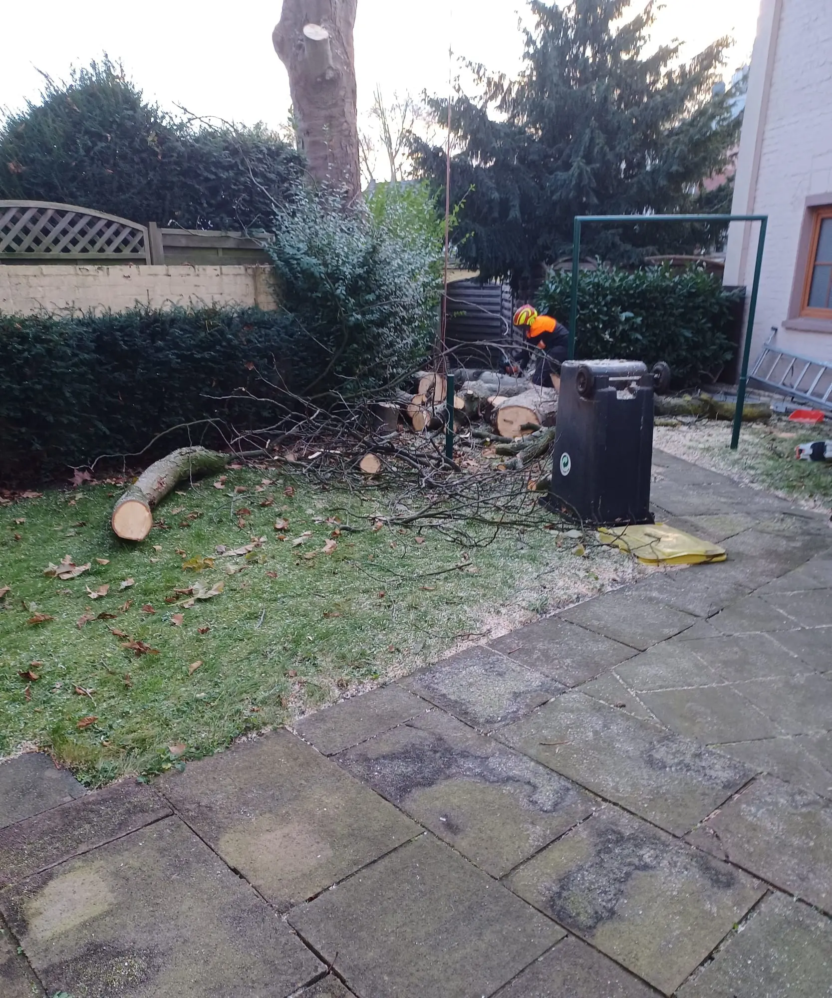 Kontrollierte Fällung im Wohngarten – verbleibender Stamm und bereits abgelegte Stammabschnitte