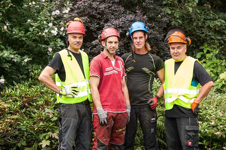 Das Team von Baumpflege Ruta aus Krefeld